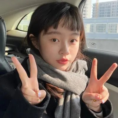 成凰录